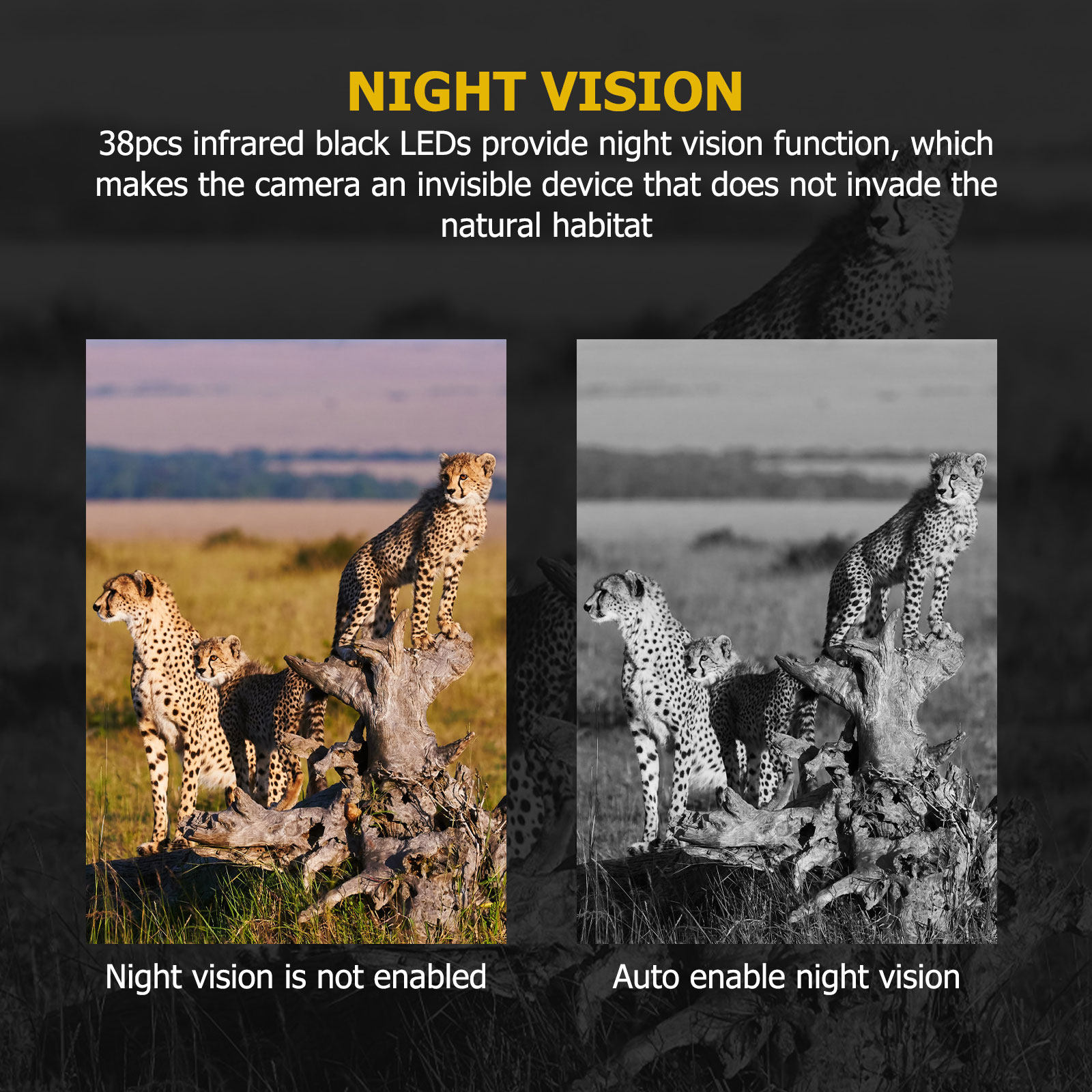 Outdoor Hunting Videos - Avcılık Oyun Kamerası 12Mp Pir Gece