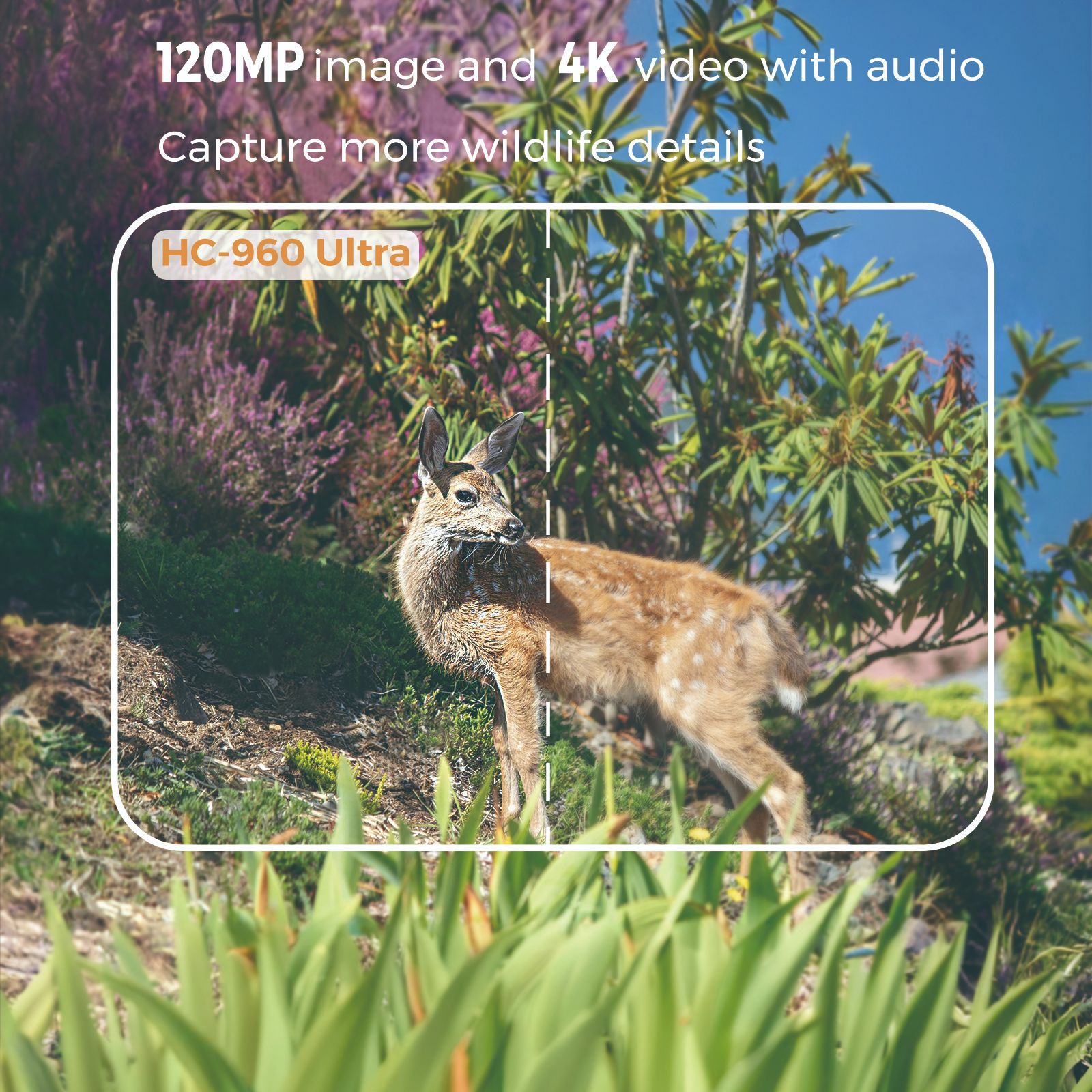 Açık Hava 4K Video 120MP Fotoğ - Outdoor Hunting Videos incelemesi ve fiyatı