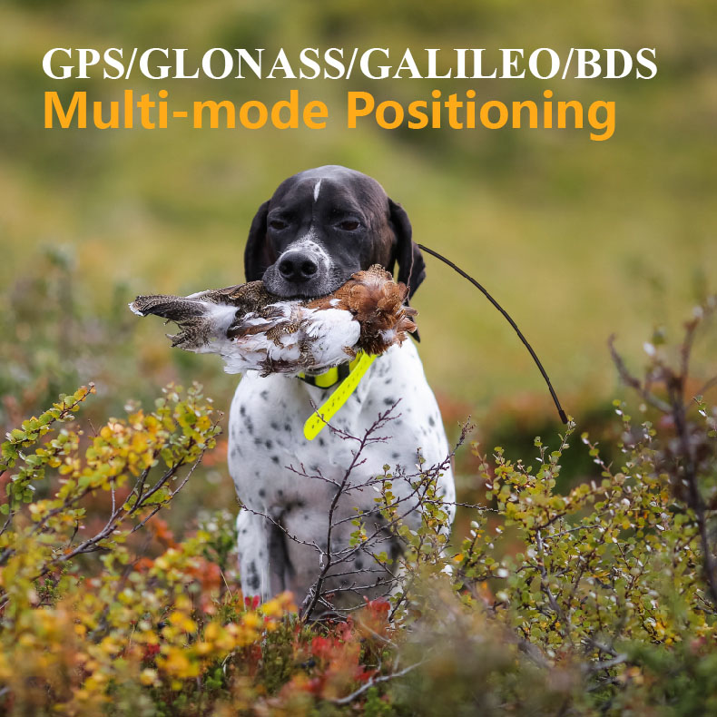 Küresel GPS Evcil Hayvan Takip - Outdoor Hunting Dog Supply incelemesi ve fiyatı